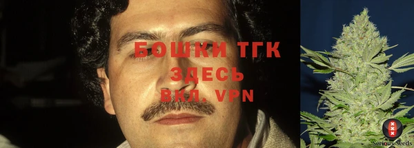 мяу мяу мука Белоозёрский
