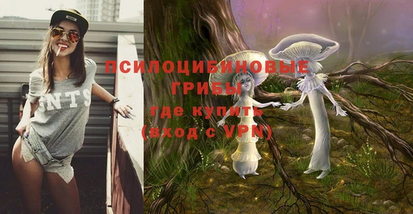 шишки Богородск