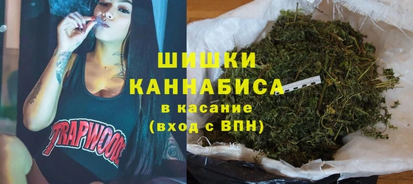 трава Белокуриха