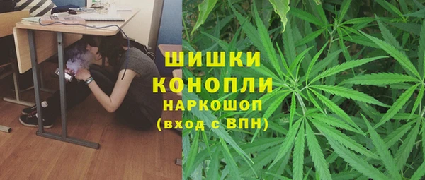 трава Белокуриха