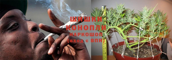 шишки Богородск