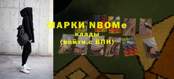 трава Белокуриха