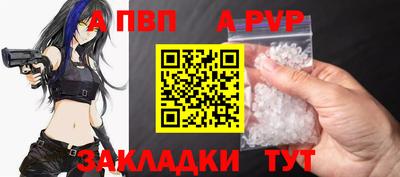 прущие грибы Гатчина