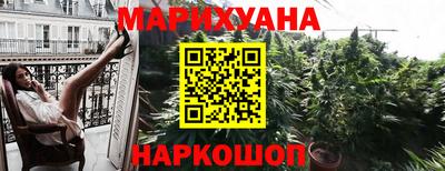 прущие грибы Гатчина
