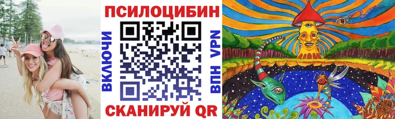 blacksprut ссылки Наро-Фоминск Псилоцибиновые грибы MAGIC MUSHROOMS